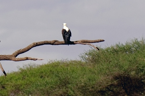 Kenia (132)